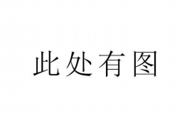 保亭要账公司更多成功案例详情